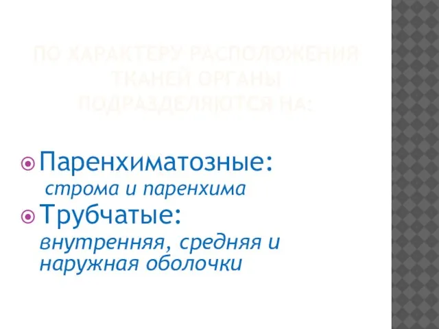 ПО ХАРАКТЕРУ РАСПОЛОЖЕНИЯ ТКАНЕЙ ОРГАНЫ ПОДРАЗДЕЛЯЮТСЯ НА: Паренхиматозные: строма и паренхима Трубчатые: