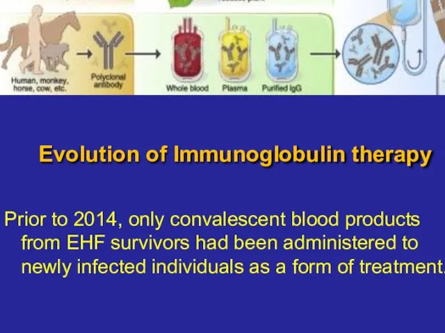 Evolution of Immunoglobulin therapy Prior to 2014, only convalescent blood products from