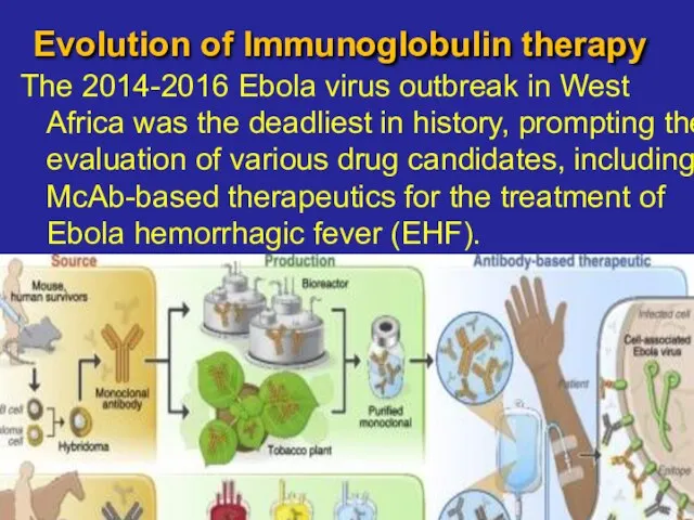 Evolution of Immunoglobulin therapy The 2014-2016 Ebola virus outbreak in West Africa