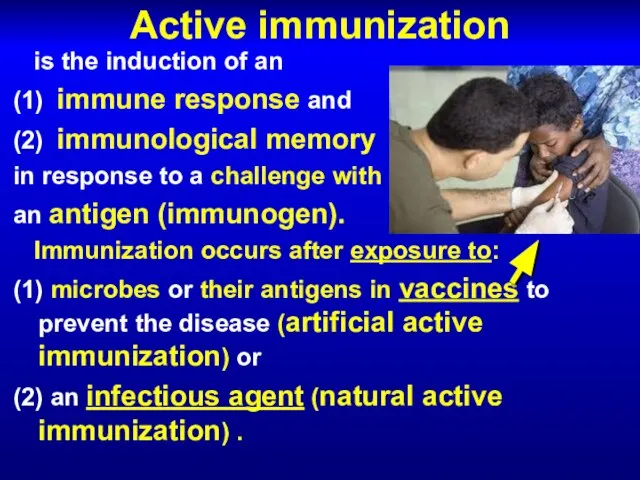 Active immunization is the induction of an (1) immune response and (2)