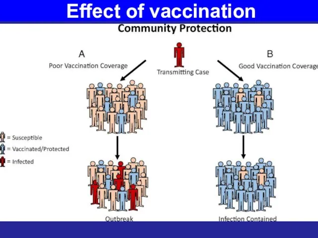 Effect of vaccination