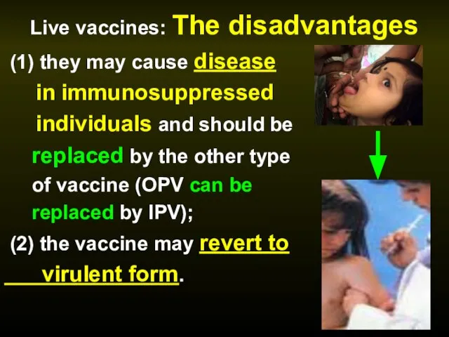 Live vaccines: The disadvantages (1) they may cause disease in immunosuppressed individuals