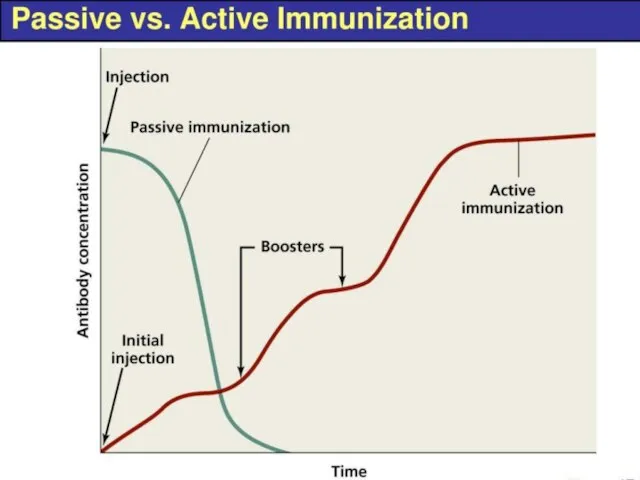 Active and Passive immunization Vaccines