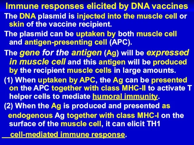 Immune responses elicited by DNA vaccines The DNA plasmid is injected into