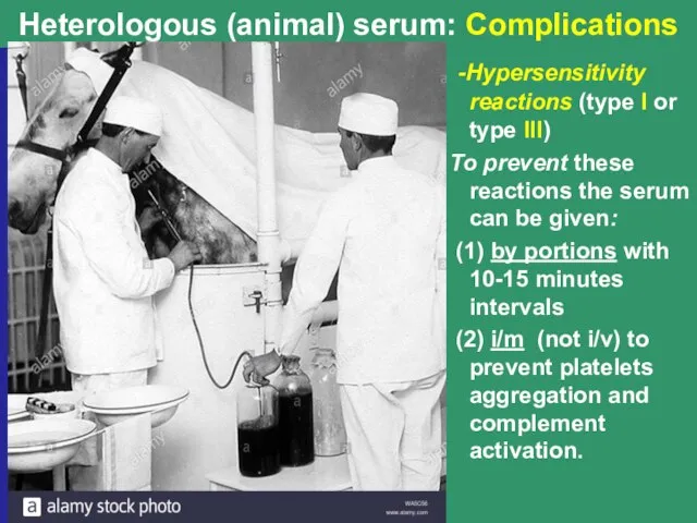 Heterologous (animal) serum: Complications -Hypersensitivity reactions (type I or type III) To