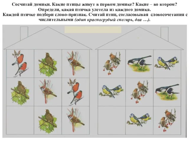 Сосчитай домики. Какие птицы живут в первом домике? Какие – во втором?