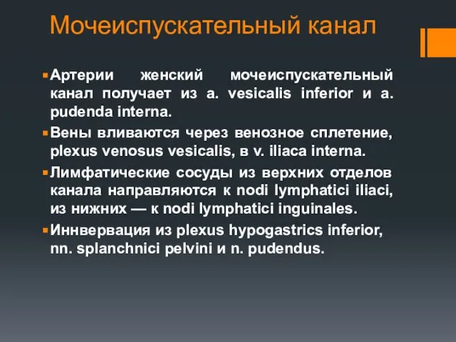 Мочеиспускательный канал Артерии женский мочеиспускательный канал получает из a. vesicalis inferior и