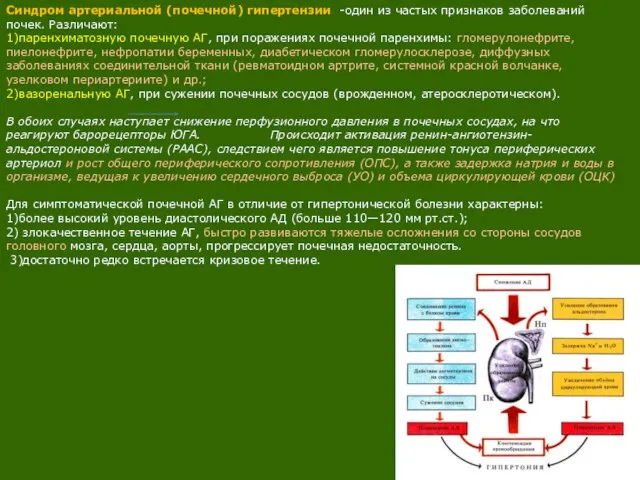 Синдром артериальной (почечной) гипертензии -один из частых признаков заболеваний почек. Различают: 1)паренхиматозную