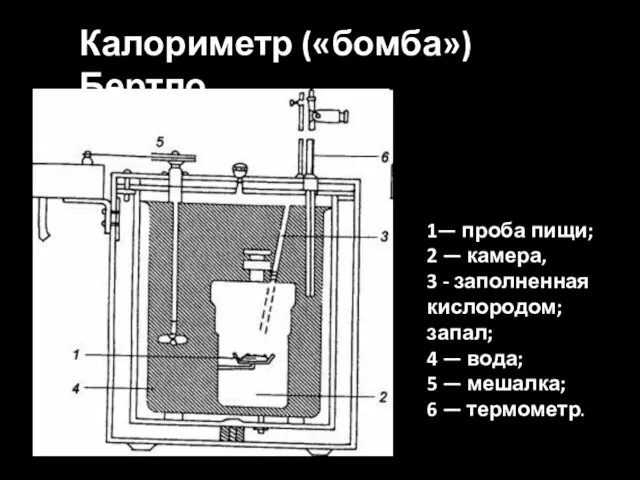 1— проба пищи; 2 — камера, 3 - заполненная кислородом; запал; 4