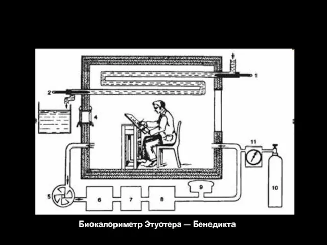 Биокалориметр Этуотера — Бенедикта