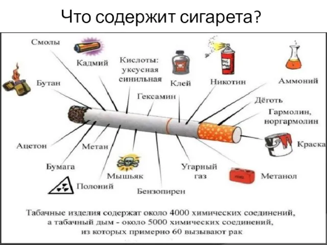 Что содержит сигарета? .
