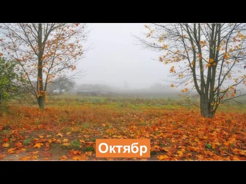 Октябрь