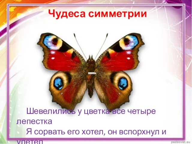 Чудеса симметрии Шевелились у цветка все четыре лепестка Я сорвать его хотел, он вспорхнул и улетел