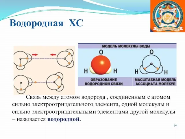 Водородная ХС Связь между атомом водорода , соединенным с атомом сильно электроотрицательного