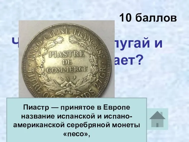 10 баллов Что кричал попугай и что это означает? Пиастр — принятое