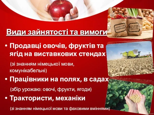 Види зайнятості та вимоги: Продавці овочів, фруктів та ягід на виставкових стендах