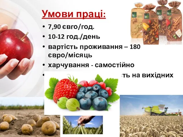 Умови праці: 7,90 євго/год. 10-12 год./день вартість проживання – 180 євро/місяць харчування