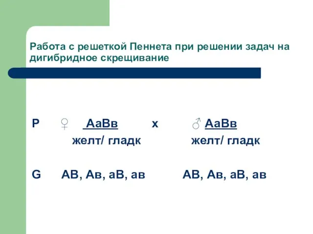 Работа с решеткой Пеннета при решении задач на дигибридное скрещивание Р ♀