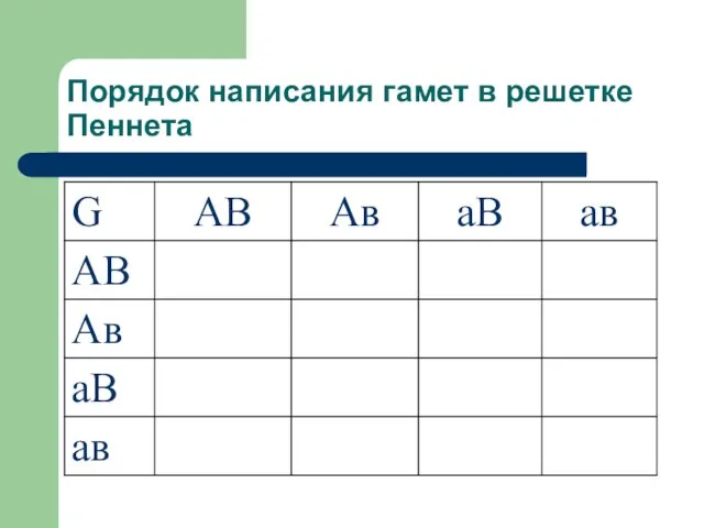 Порядок написания гамет в решетке Пеннета