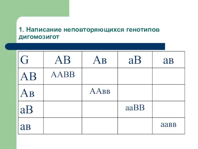 1. Написание неповторяющихся генотипов дигомозигот