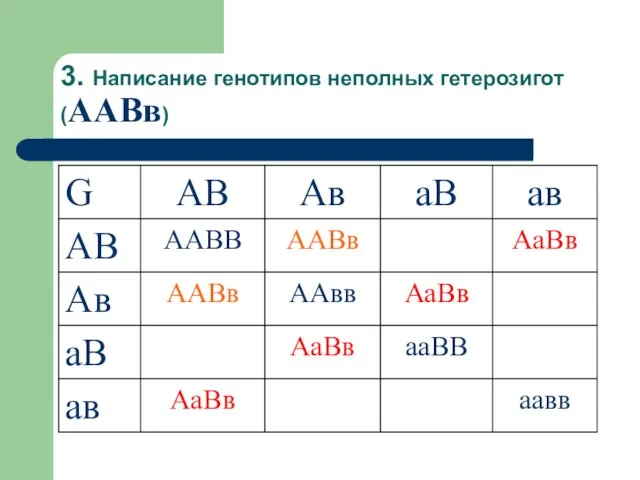 3. Написание генотипов неполных гетерозигот (ААВв)