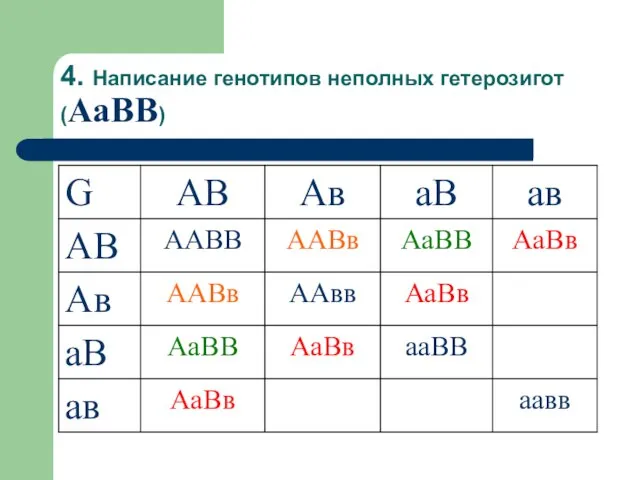 4. Написание генотипов неполных гетерозигот (АаВВ)