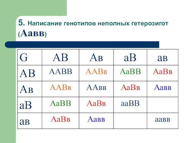 5. Написание генотипов неполных гетерозигот (Аавв)