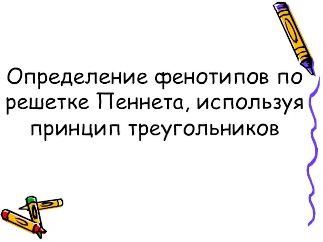 Определение фенотипов по решетке Пеннета, используя принцип треугольников