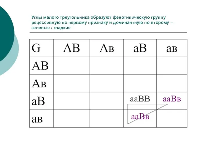 Углы малого треугольника образуют фенотипическую группу рецессивную по первому признаку и доминантную