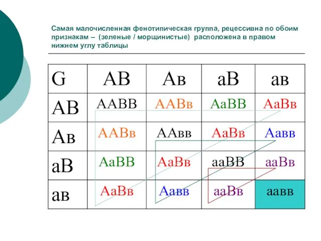 Самая малочисленная фенотипическая группа, рецессивна по обоим признакам – (зеленые / морщинистые)