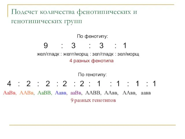 Подсчет количества фенотипических и генотипических групп По фенотипу: 9 : 3 :