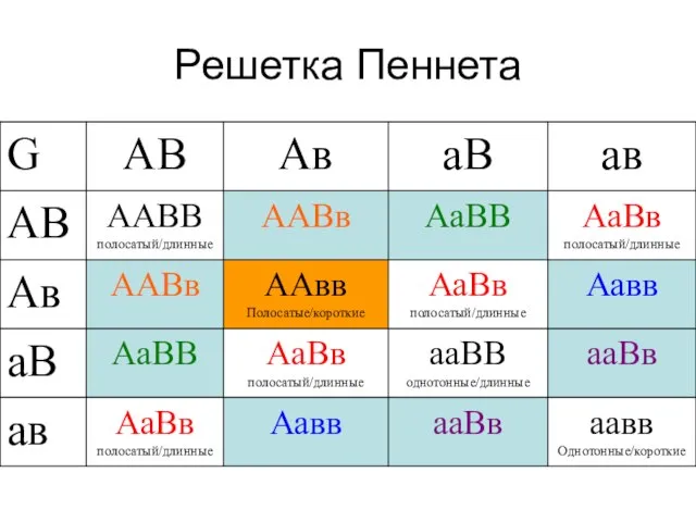 Решетка Пеннета