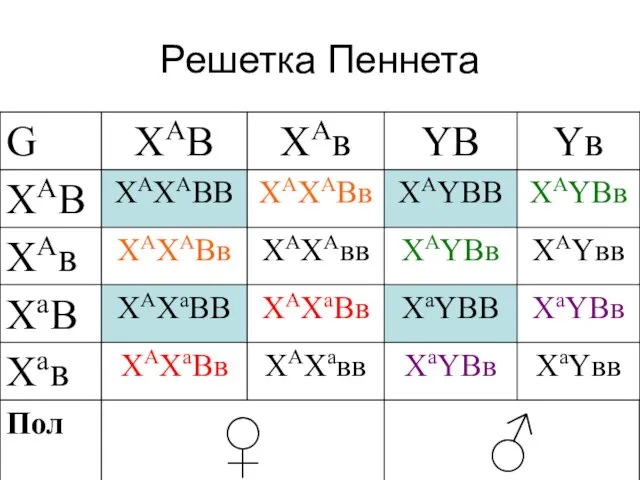 Решетка Пеннета