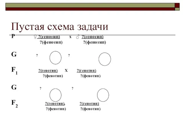 Пустая схема задачи Р ♀ ?(генотип) х ♂ ?(генотип) ?(фенотип) ?(фенотип) G