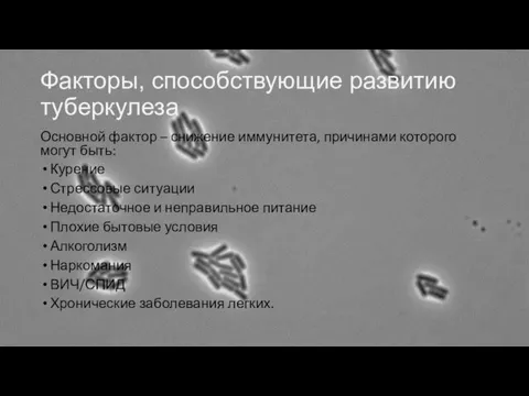 Факторы, способствующие развитию туберкулеза Основной фактор – снижение иммунитета, причинами которого могут