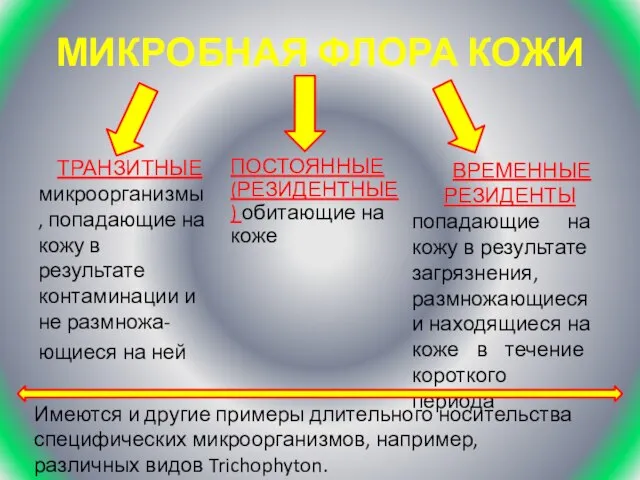 МИКРОБНАЯ ФЛОРА КОЖИ ПОСТОЯННЫЕ (РЕЗИДЕНТНЫЕ) обитающие на коже ТРАНЗИТНЫЕ микроорганизмы, попадающие на