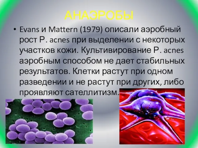 АНАЭРОБЫ Evans и Mattern (1979) описали аэробный рост Р. acnes при выделении
