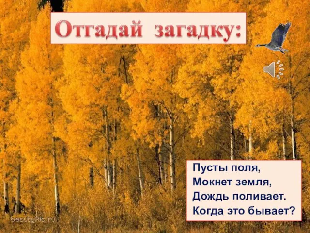 Пусты поля, Мокнет земля, Дождь поливает. Когда это бывает?