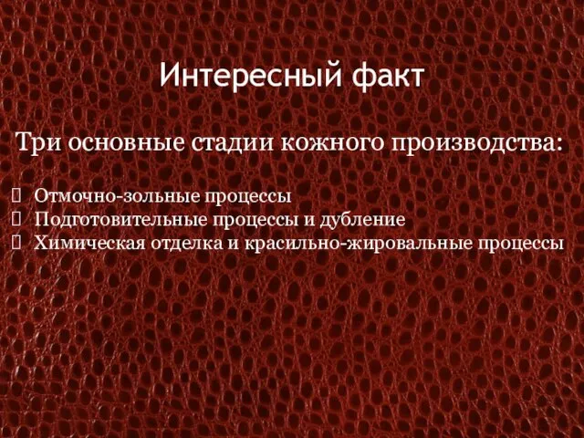 Интересный факт Три основные стадии кожного производства: Отмочно-зольные процессы Подготовительные процессы и