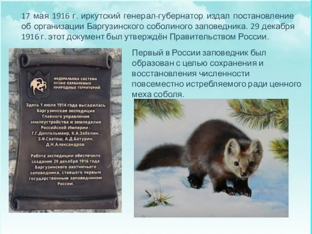 Первый в России заповедник был образован с целью сохранения и восстановления численности