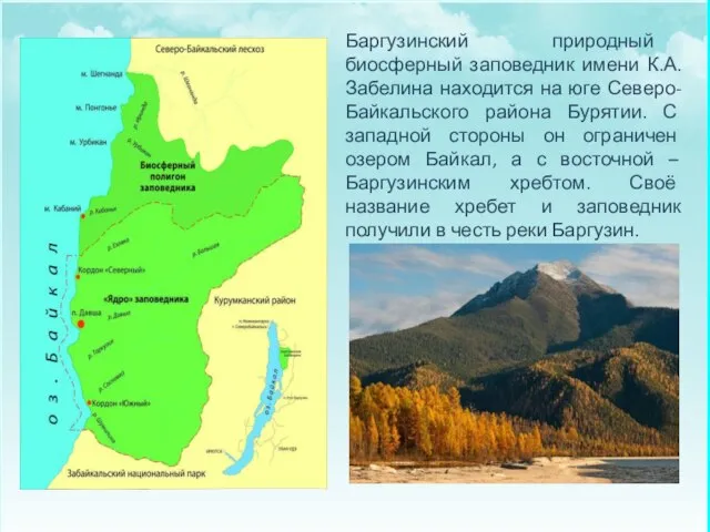 Баргузинский природный биосферный заповедник имени К.А. Забелина находится на юге Северо-Байкальского района
