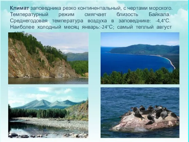 Климат заповедника резко континентальный, с чертами морского. Температурный режим смягчает близость Байкала.