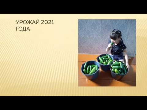 УРОЖАЙ 2021 ГОДА