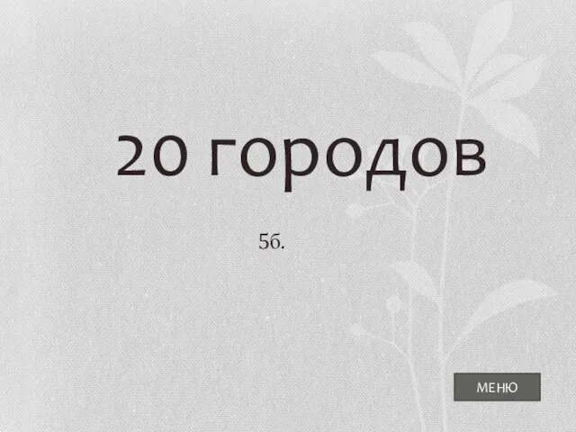 МЕНЮ 20 городов 5б.