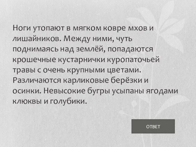 Ноги утопают в мягком ковре мхов и лишайников. Между ними, чуть поднимаясь