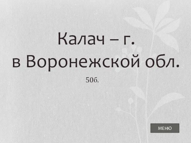 МЕНЮ Калач – г. в Воронежской обл. 50б.