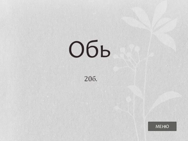 МЕНЮ Обь 20б.