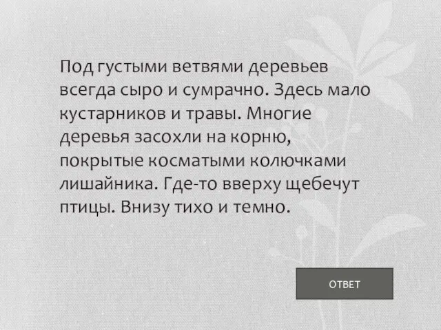 Под густыми ветвями деревьев всегда сыро и сумрачно. Здесь мало кустарников и