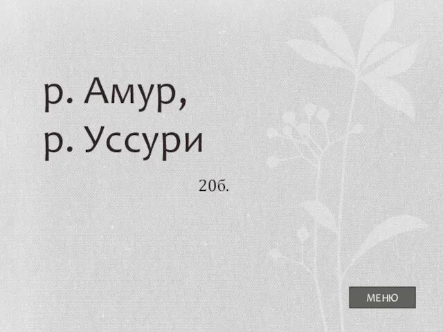 МЕНЮ р. Амур, р. Уссури 20б.