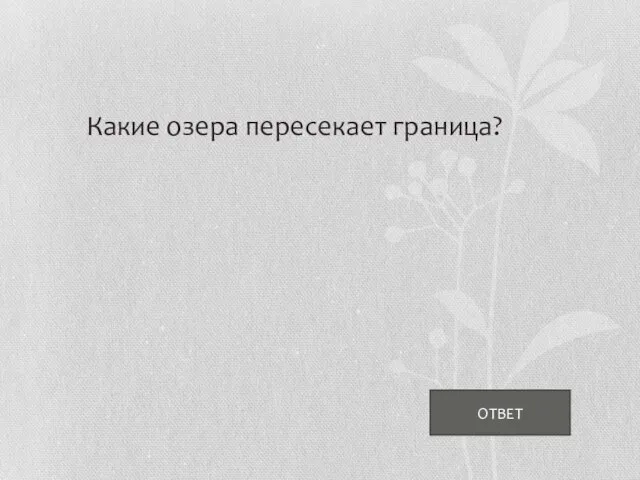 ОТВЕТ Какие озера пересекает граница?